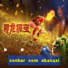 sonhar com abacaxi no jogo do bicho